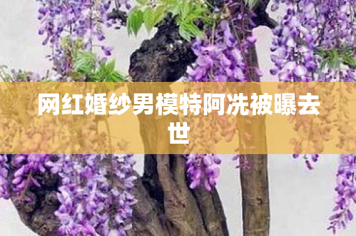网红婚纱男模特阿冼被曝去世