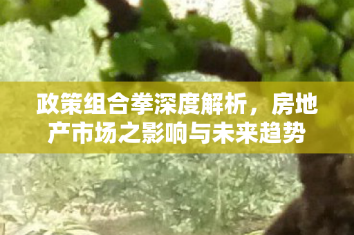 政策组合拳深度解析，房地产市场之影响与未来趋势