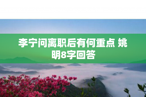 李宁问离职后有何重点 姚明8字回答