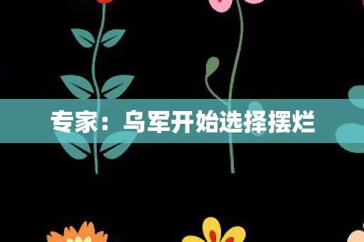 专家：乌军开始选择摆烂