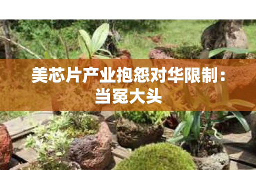美芯片产业抱怨对华限制：当冤大头