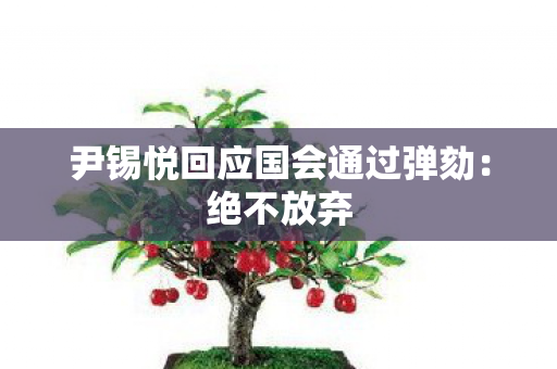 尹锡悦回应国会通过弹劾：绝不放弃