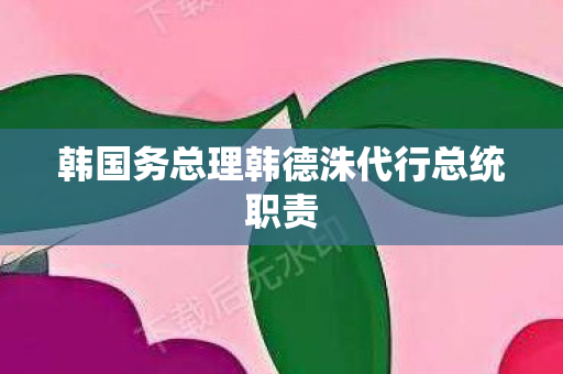 韩国务总理韩德洙代行总统职责