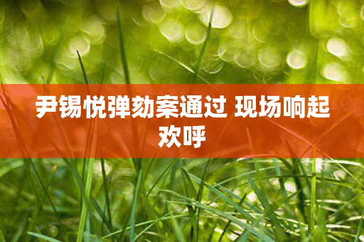 尹锡悦弹劾案通过 现场响起欢呼