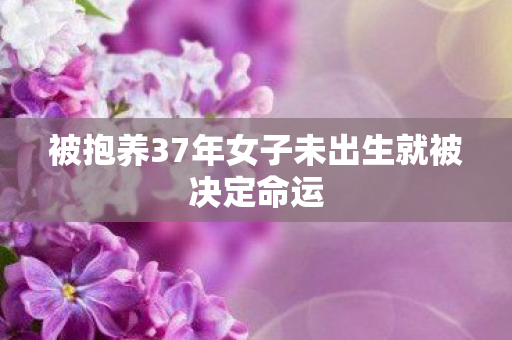 被抱养37年女子未出生就被决定命运
