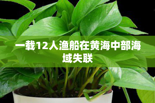 一载12人渔船在黄海中部海域失联