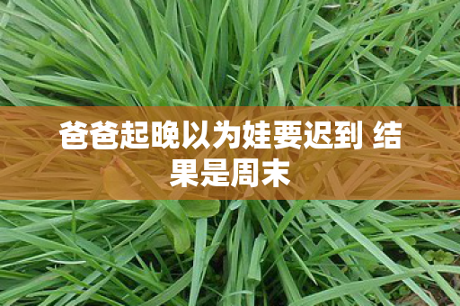 爸爸起晚以为娃要迟到 结果是周末