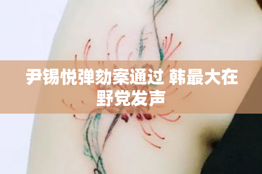 尹锡悦弹劾案通过 韩最大在野党发声