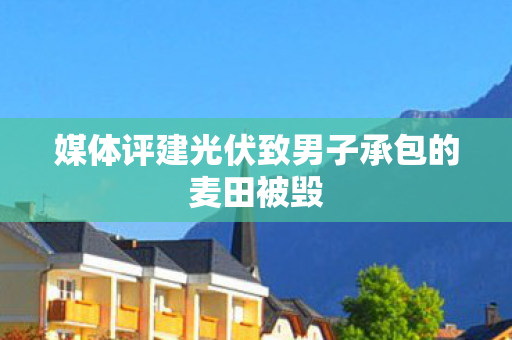 媒体评建光伏致男子承包的麦田被毁