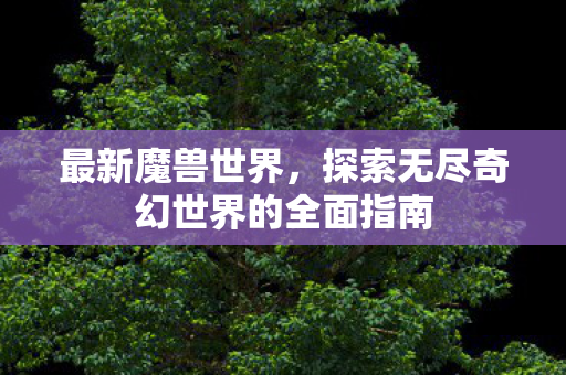 最新魔兽世界，探索无尽奇幻世界的全面指南