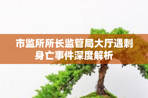市监所所长监管局大厅遇刺身亡事件深度解析