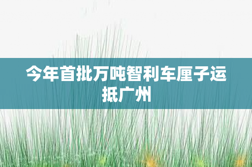 今年首批万吨智利车厘子运抵广州