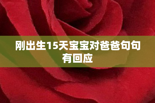 刚出生15天宝宝对爸爸句句有回应