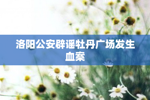 洛阳公安辟谣牡丹广场发生血案