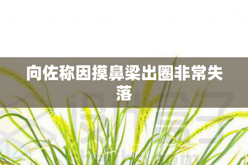 向佐称因摸鼻梁出圈非常失落