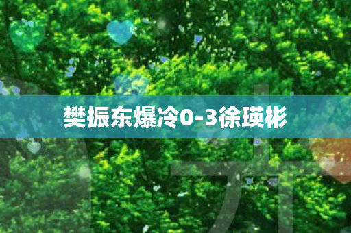 樊振东爆冷0-3徐瑛彬