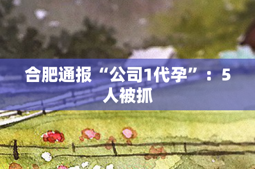 合肥通报“公司1代孕”：5人被抓