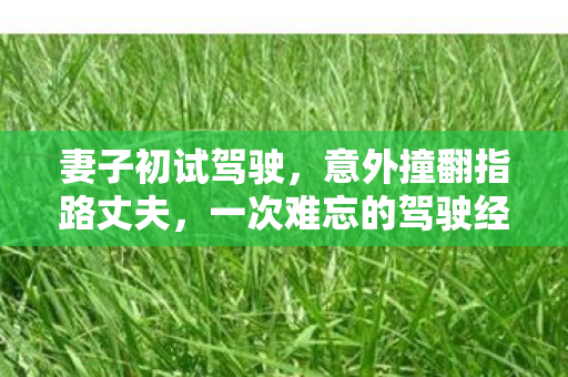 妻子初试驾驶，意外撞翻指路丈夫，一次难忘的驾驶经历