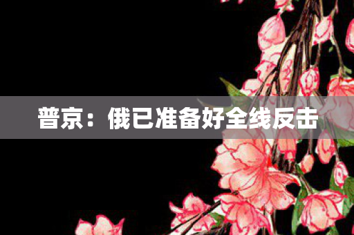 普京：俄已准备好全线反击