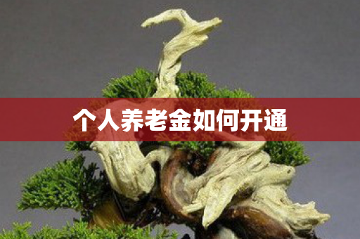 个人养老金如何开通