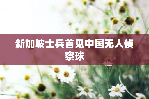 新加坡士兵首见中国无人侦察球