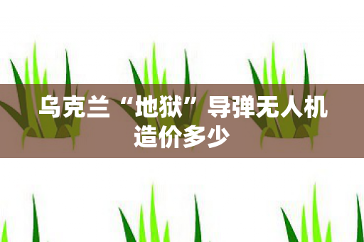 乌克兰“地狱”导弹无人机造价多少