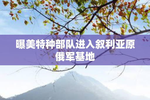 曝美特种部队进入叙利亚原俄军基地