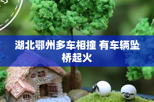 湖北鄂州多车相撞 有车辆坠桥起火