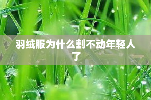 羽绒服为什么割不动年轻人了
