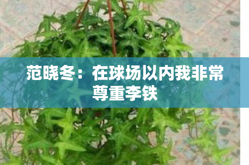 范晓冬：在球场以内我非常尊重李铁