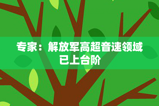 专家：解放军高超音速领域已上台阶