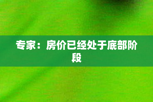 专家：房价已经处于底部阶段