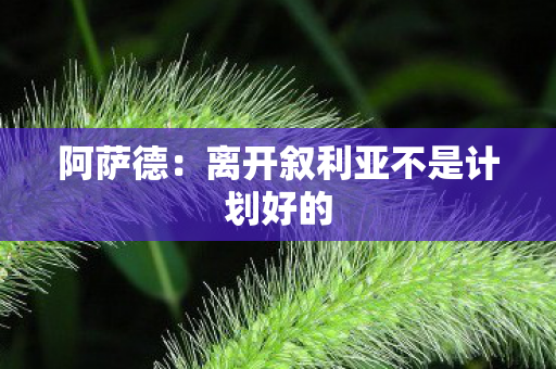 阿萨德：离开叙利亚不是计划好的