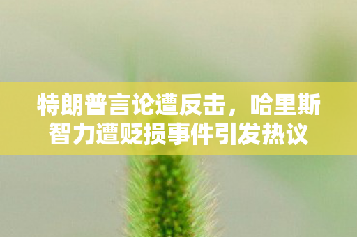 特朗普言论遭反击，哈里斯智力遭贬损事件引发热议
