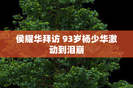 侯耀华拜访 93岁杨少华激动到泪崩