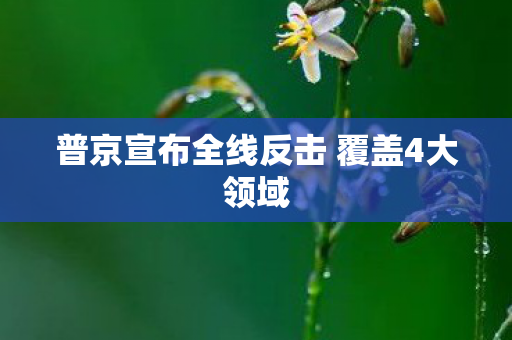 普京宣布全线反击 覆盖4大领域
