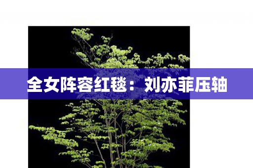 全女阵容红毯：刘亦菲压轴