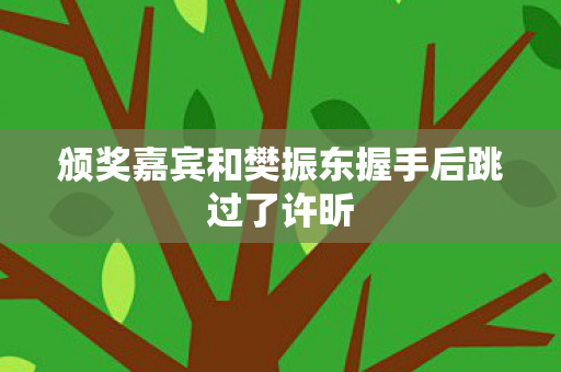 颁奖嘉宾和樊振东握手后跳过了许昕