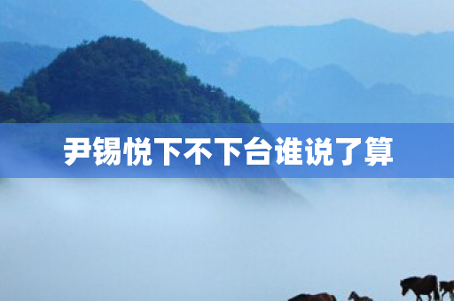 尹锡悦下不下台谁说了算