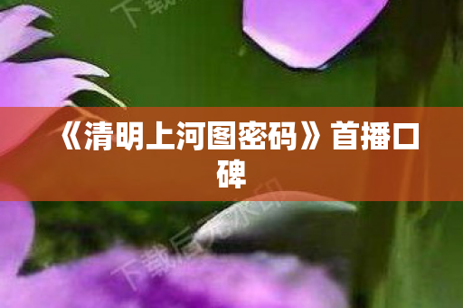 《清明上河图密码》首播口碑