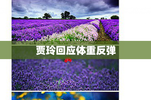 贾玲回应体重反弹