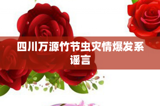 四川万源竹节虫灾情爆发系谣言