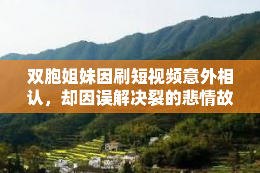 双胞姐妹因刷短视频意外相认，却因误解决裂的悲情故事