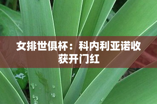 女排世俱杯：科内利亚诺收获开门红