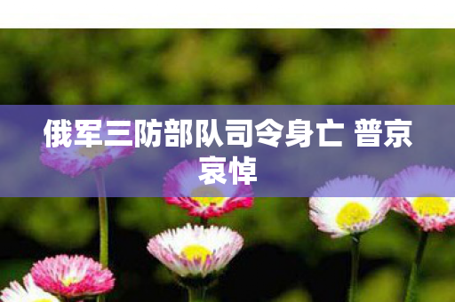 俄军三防部队司令身亡 普京哀悼