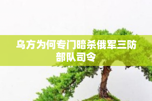 乌方为何专门暗杀俄军三防部队司令