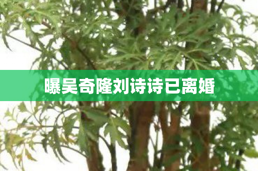 曝吴奇隆刘诗诗已离婚