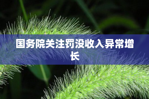 国务院关注罚没收入异常增长