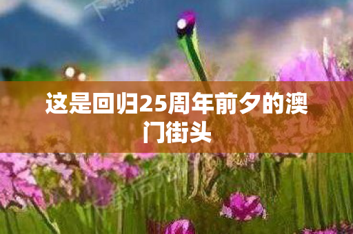 这是回归25周年前夕的澳门街头