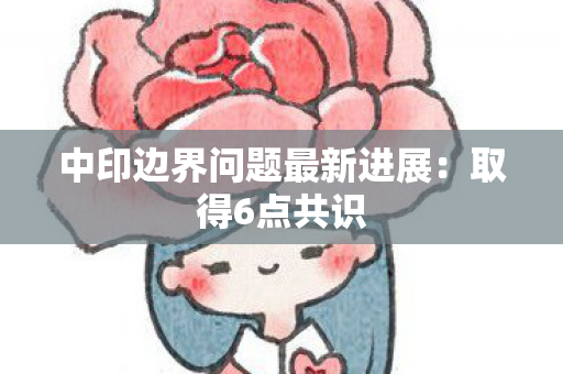 中印边界问题最新进展：取得6点共识